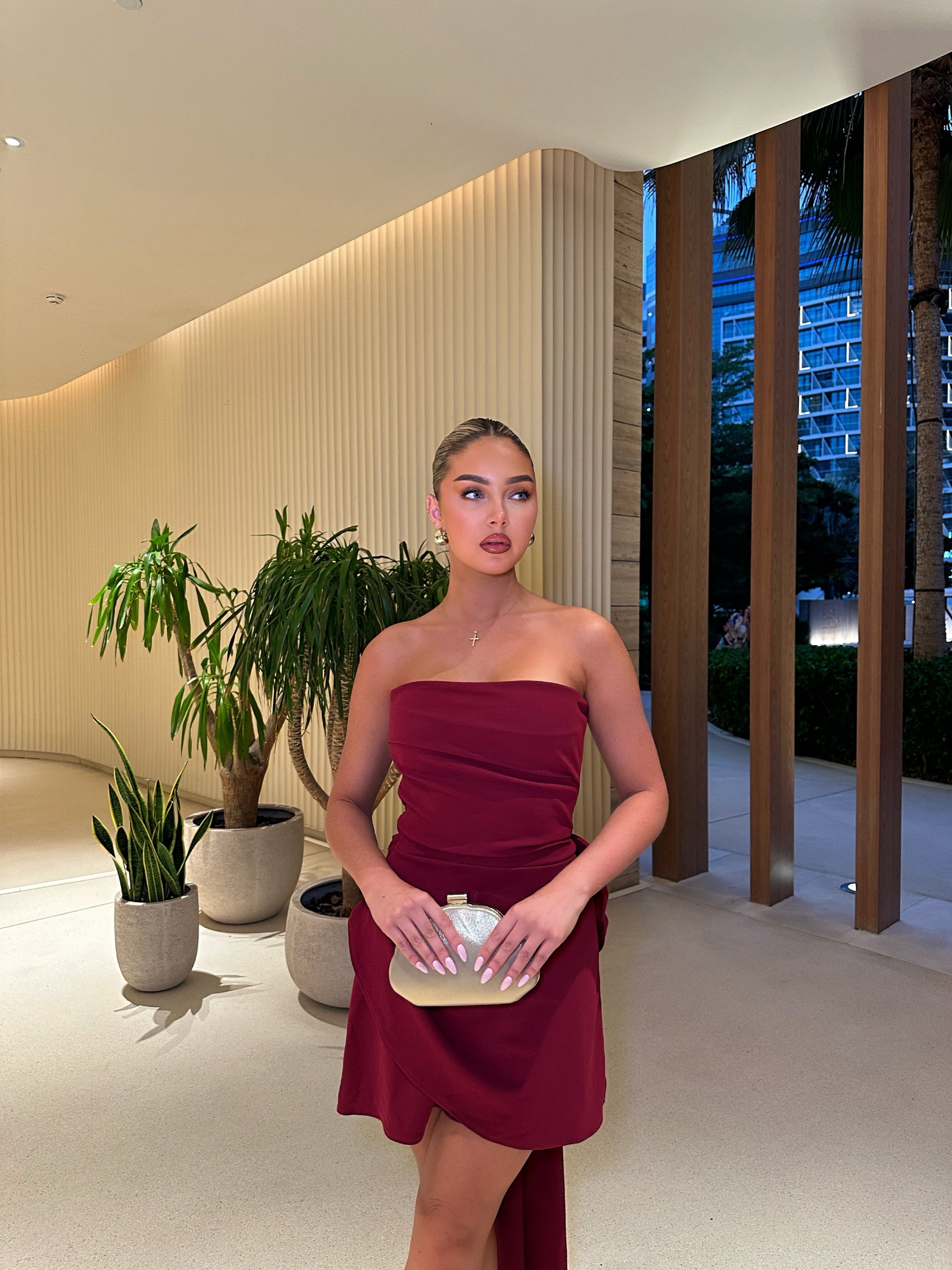 Beau Mini Dress Wine